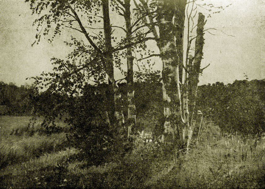 �������, 1979 �., ����