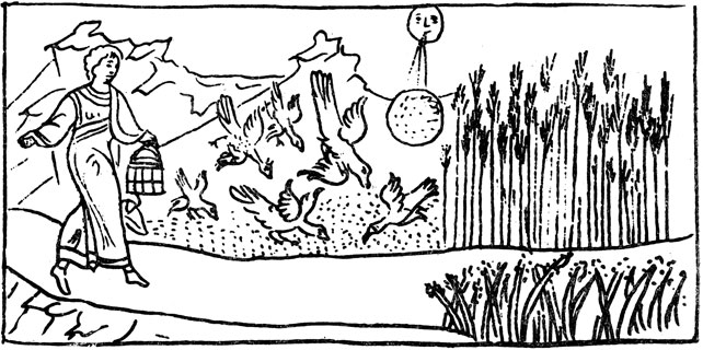 .  '   ',   XVII .  (,  ,  .,  263).